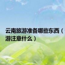 云南旅游准备哪些东西（云南旅游注意什么）