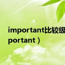 important比较级（important）