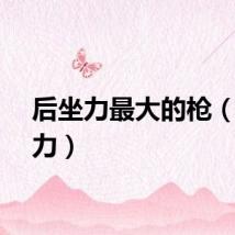 后坐力最大的枪（后坐力）