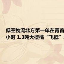 低空物流北方第一单在青首飞 3.5小时 1.3吨大樱桃“飞抵”北京