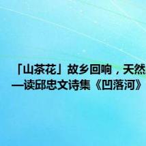 「山茶花」故乡回响,天然成诗——读邱忠文诗集《凹落河》