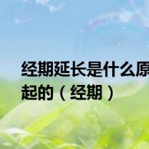 经期延长是什么原因引起的（经期）