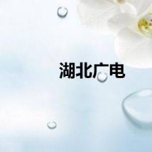 湖北广电