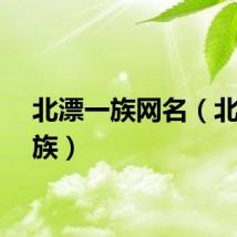 北漂一族网名（北漂一族）