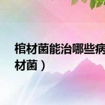 棺材菌能治哪些病（棺材菌）