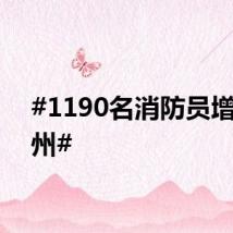 #1190名消防员增援梅州#