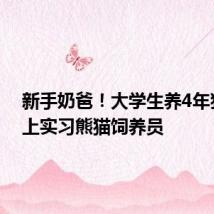 新手奶爸!大学生养4年猪后当上实习熊猫饲养员