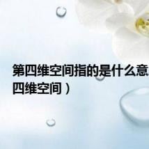 第四维空间指的是什么意思(第四维空间)