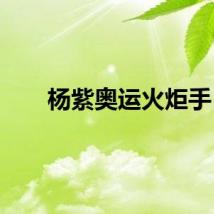 杨紫奥运火炬手