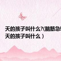 天的孩子叫什么?(脑筋急转弯)(天的孩子叫什么)