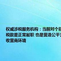 权威涉税服务机构:当前对个别企业追缴税款是正常履职 也是营造公平公正的税收营商环境