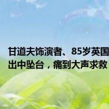 甘道夫饰演者、85岁英国男星演出中坠台,痛到大声求救
