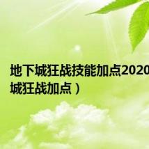 地下城狂战技能加点2020(地下城狂战加点)