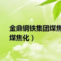 金鼎钢铁集团煤焦化（煤焦化）