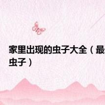 家里出现的虫子大全(最恶心的虫子)