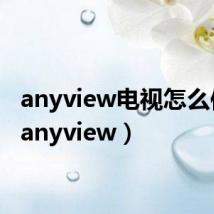 anyview电视怎么使用(anyview)