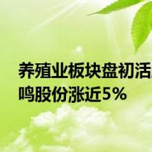 养殖业板块盘初活跃 晓鸣股份涨近5%