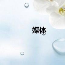 媒体