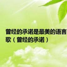 曾经的承诺是最美的语言是什么歌（曾经的承诺）