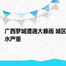 广西罗城遭遇大暴雨 城区内涝积水严重