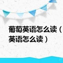 葡萄英语怎么读（橙子英语怎么读）