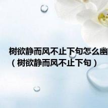 树欲静而风不止下句怎么幽默回答（树欲静而风不止下句）