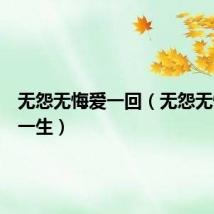 无怨无悔爱一回（无怨无悔爱过一生）