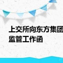 上交所向东方集团下发监管工作函