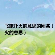 飞蛾扑火的意思的网名（飞蛾扑火的意思）