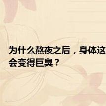 为什么熬夜之后,身体这些部位会变得巨臭?