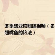 冬季路亚钓翘嘴视频(冬季路亚翘嘴鱼的钓法)