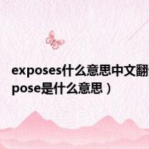 exposes什么意思中文翻译（expose是什么意思）