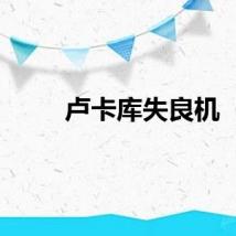 卢卡库失良机