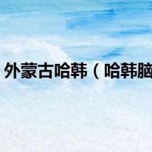 外蒙古哈韩（哈韩脑残）