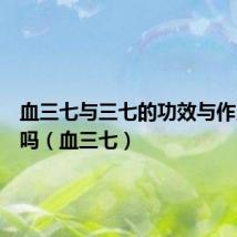 血三七与三七的功效与作用一样吗（血三七）
