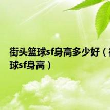 街头篮球sf身高多少好(街头篮球sf身高)