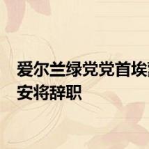 爱尔兰绿党党首埃蒙·瑞安将辞职