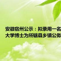 安徽宿州公示:拟录用一名斯坦福大学博士为所辖县乡镇公务员