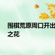 围棋荒原周口开出希望之花