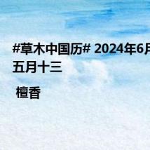 #草木中国历# 2024年6月18日 五月十三 | 檀香