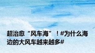 超治愈“风车海”！#为什么海边的大风车越来越多#