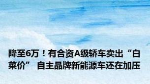 降至6万！有合资A级轿车卖出“白菜价” 自主品牌新能源车还在加压