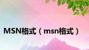 MSN格式（msn格式）
