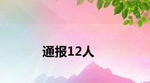 通报12人