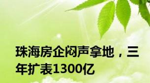 珠海房企闷声拿地，三年扩表1300亿