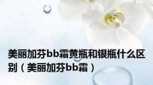 美丽加芬bb霜黄瓶和银瓶什么区别（美丽加芬bb霜）