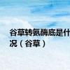 谷草转氨酶底是什么情况（谷草）