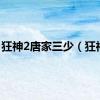 狂神2唐家三少（狂神2）