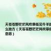 天苍苍野茫茫风吹草低见牛羊的意思是什么地方（天苍苍野茫茫风吹草低见牛羊的意思）