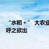 “水稻＋” 大农业范儿呼之欲出